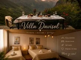 Villa Davisol