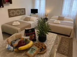 Twins House I Gemelli
