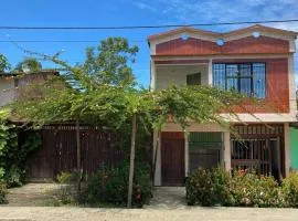Milflora casa completa