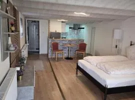 Panoramic Hause