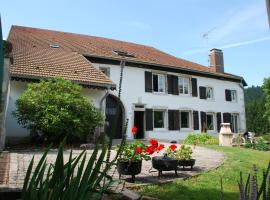 Chambre d'hôtes Kieffer Le Grand Bienfaisy, B&B in Remiremont