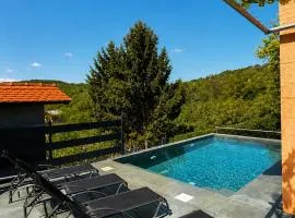 Holiday home Damian - Private pool