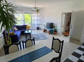 Struga Alpha House