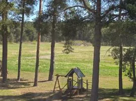 Tarp tylių pušų