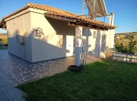 Reniza House 1