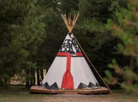 Stunning Cozy Tipi near Yellowstone for an Amazing Glamping Escape in Nature in Island Park, Idaho