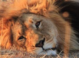 Umzolozolo Private Safari Lodge & Spa, koliba u gradu 'Rezervat divljih životinja Nambiti'