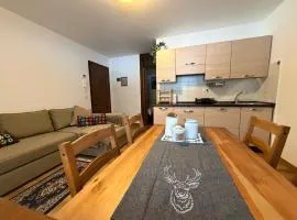 Apartment Garibaldi, Sella Nevea