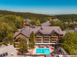 Forest Park Resort & SPA，希維拉杜夫茲德魯伊的飯店