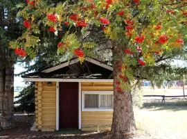 Quaint Log Cabin for Two near Henry's Fork for an Unforgettable Getaway in Ashton, Idaho