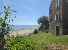 Appartement plage à pied