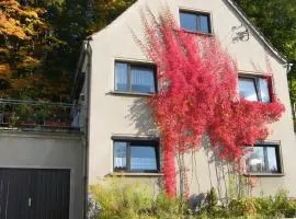Unser Ferienhaus in Ebersbach