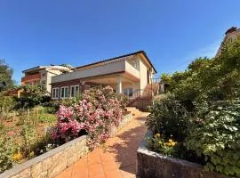 Apartments Dragica