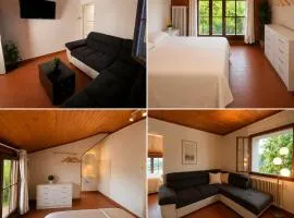Appartement lumineux avec vue sur le lac Léman - proche Genève