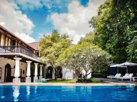 Birdsong,Goa