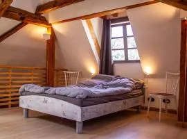 Grosses-Apartment-auf-Schloss-Muehlen-Nr-6