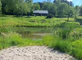 Am Naturteich mitten im Grünen in Alleinlage entspannen