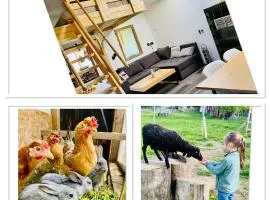 Ferienwohnung Hofglück im großen Garten