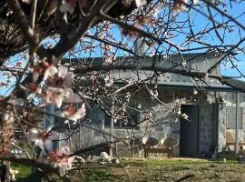 Batzanemi Guest House and Farm