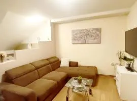 Apartment Petra Zabok A2-3km