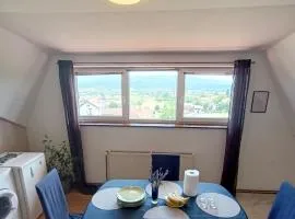 Apartment Petra Zabok A2-3km