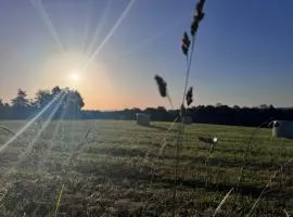 Sunrise Tent
