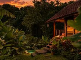 Villa The Payung House