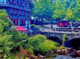 Historisches Fachwerk Haus am Fluss