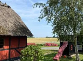 Charming Cottage In The Best Hc Andersen Style