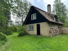 Cozy Thatched Cottage With Modern Décor