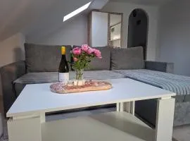 Apartman Teo Brčko