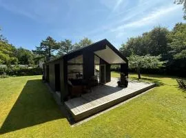 Modern And Stylish Summer Cabin
