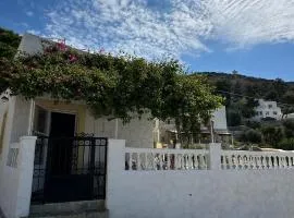 Bougainvillea Nest Panteli, Leros