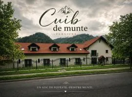 Cuib de Munte