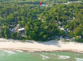 NEW Goodwin Glow - Walk to Lake Michigan Shore