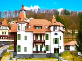 Turul Villa, hotel v destinaci Sovata