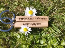Ferienhaus Feldbrise