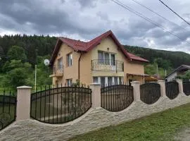 Vila Pângărați