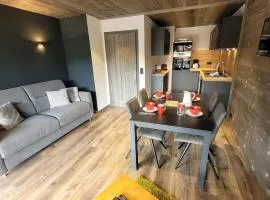 Appartement 4 pers. aux pieds des pistes avec parking et wifi - FR-1-598-130