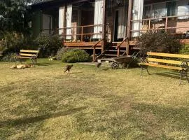 Abrazados Suites del Valle