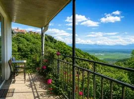 Lia's Guest House