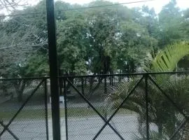 El paseo temporal
