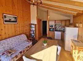 Appartement 7 pers avec balcon, wifi, animaux admis, parking - Saint-Michel-de-Chaillol - FR-1-393-88