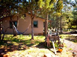 Peaceful Pine Place Cabin, Hotel in Pine