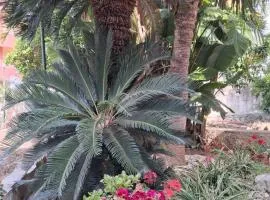 La Rugiada-con giardino e parcheggio moto privato