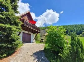 Chalet 5 pers avec balcon, animaux admis, garage, Chaillol 1600 - FR-1-393-13