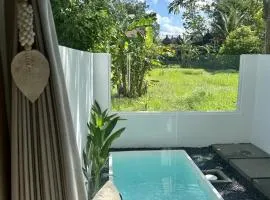 Villa Chandra