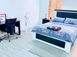 Newly Renovated Room,Bathroom and private Kitchen