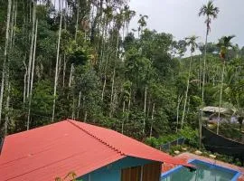 Bambooleaf pool dormitory