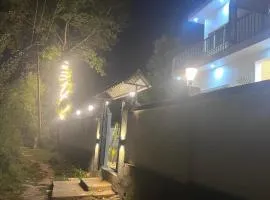 Countryside forest village